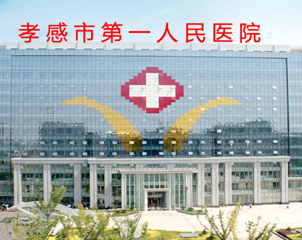 湖北孝感市人民醫院.jpg